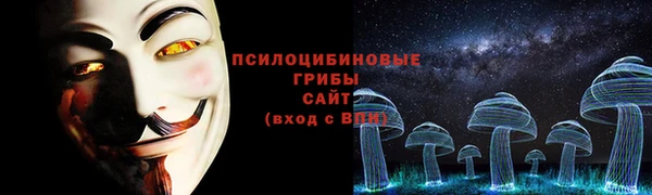 PSILOCYBIN Баксан