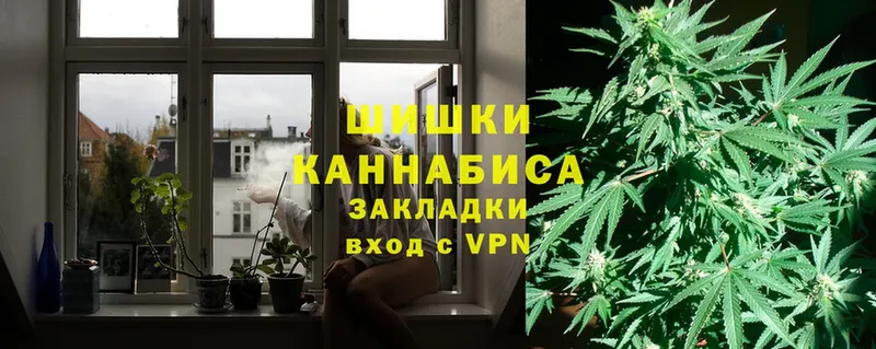 Бошки марихуана OG Kush  Каменка 